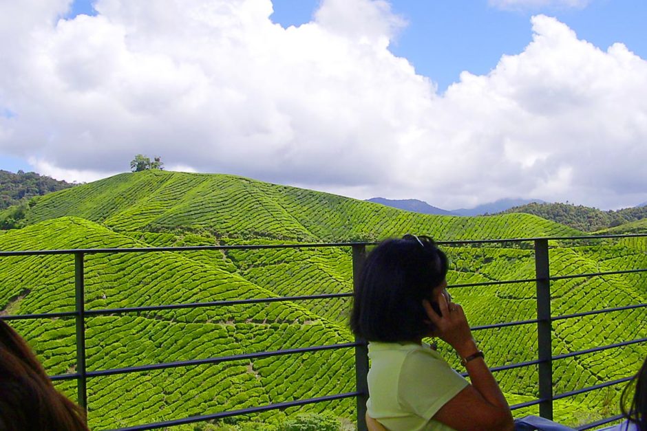From the visitor center balcony at Boh Tea Center.