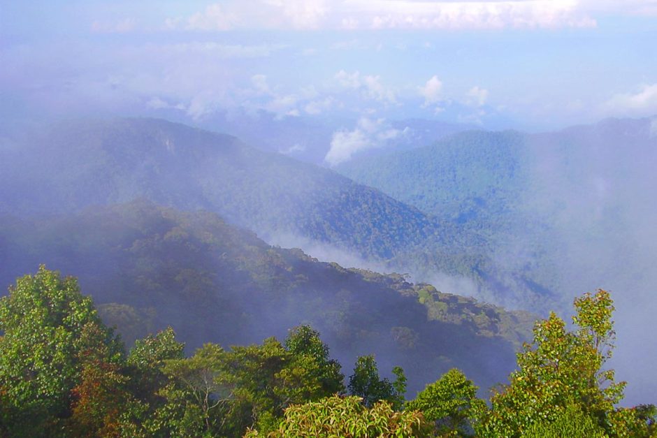 Cameron Highlands in central peninsular Malaysia.