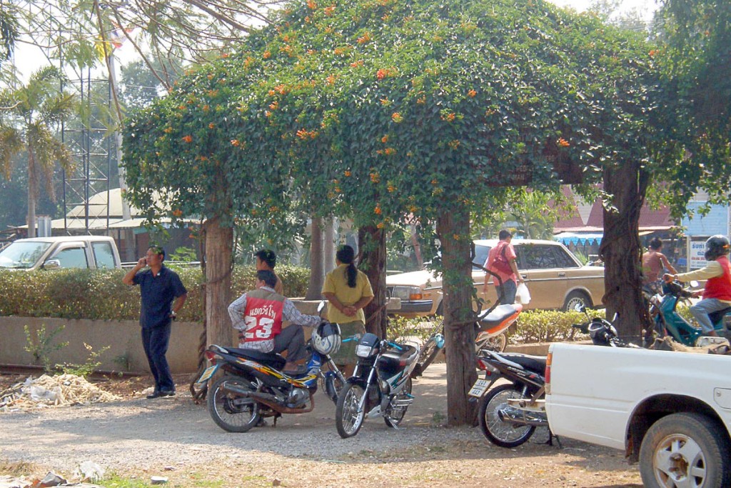 people-under-tree-in-rural-thailand