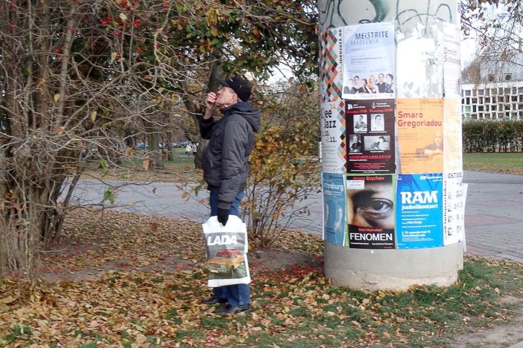 Guy eating berries from a tree just across the Emajõgi River from the town square.