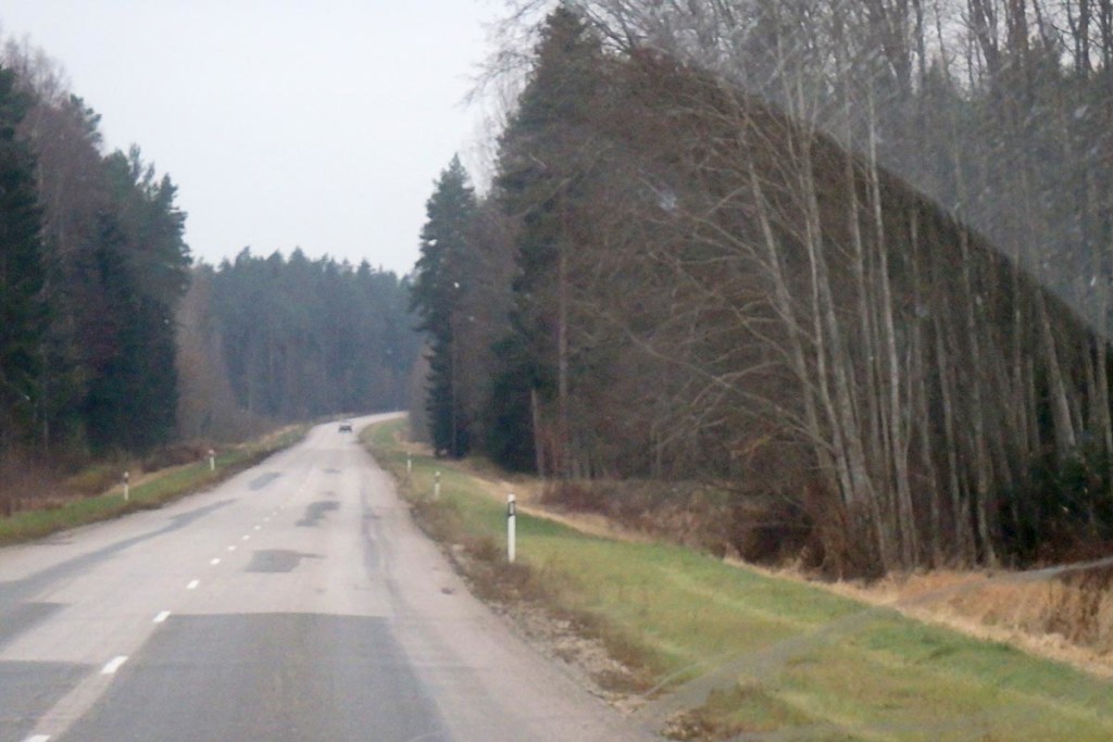 The lonesome road between Tartu and Valga, as seen out the bus window.