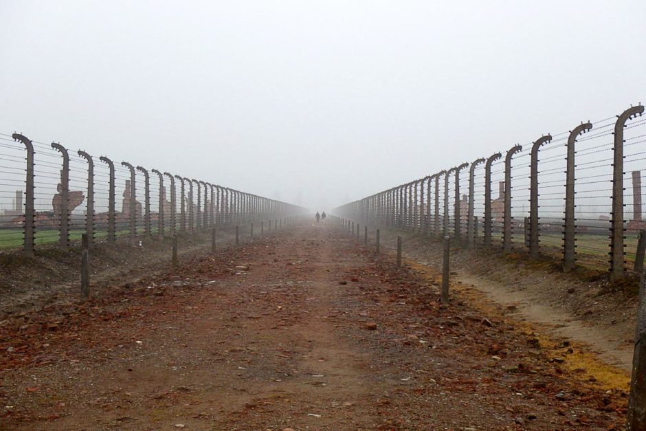 We got a misty, almost lifeless view of Birkenau on the day we visited.