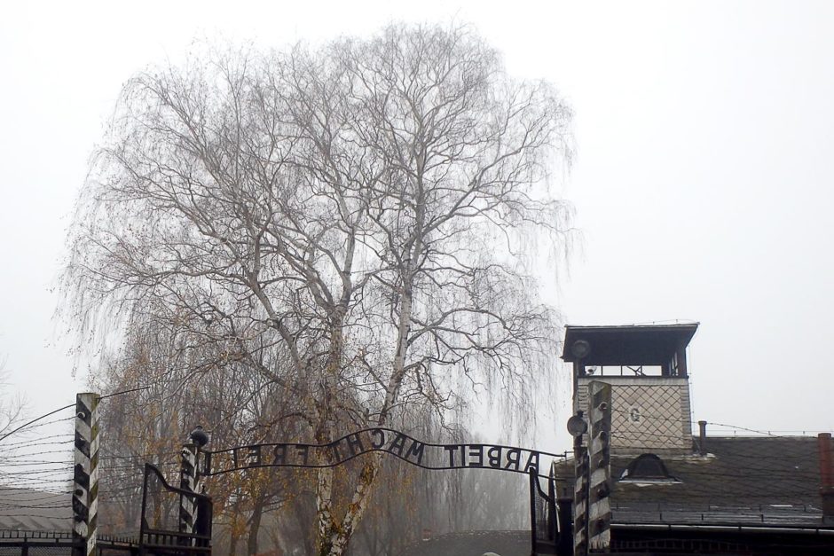 Behind the ARBEIT MACHT FREI gate at Auschwitz