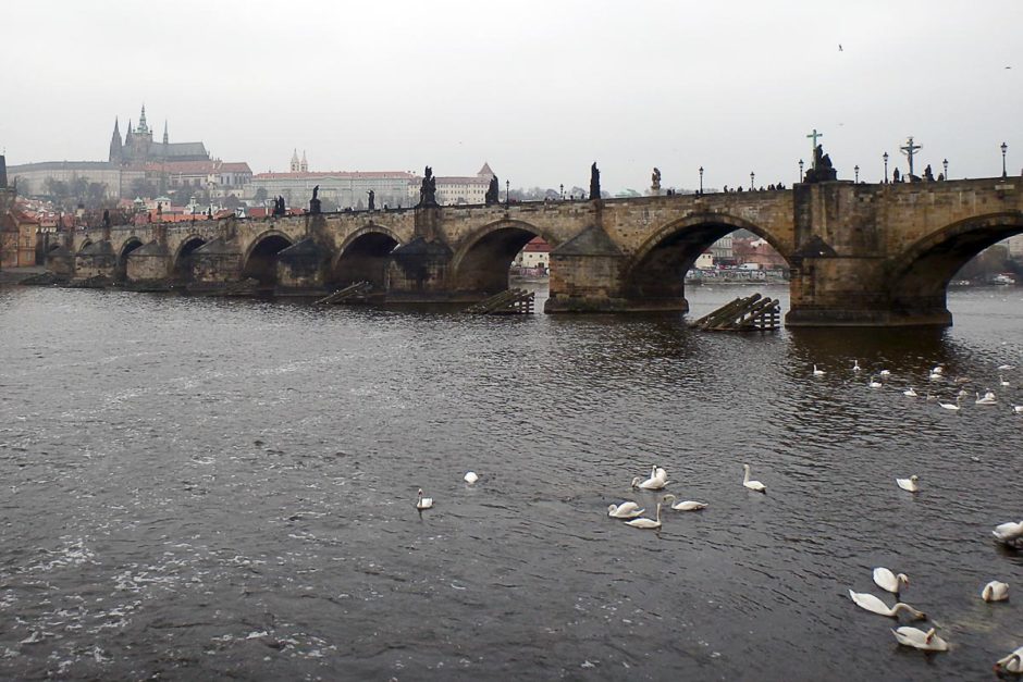 Charles Bridge with swans and grey skies.