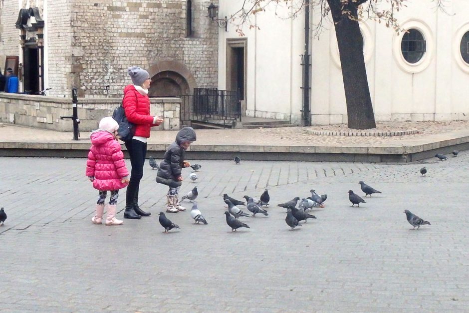 Kids playing with pigeons. Or vice versa.
