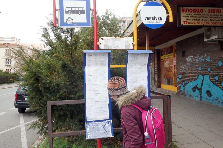 Masayo peers at the bus schedule.