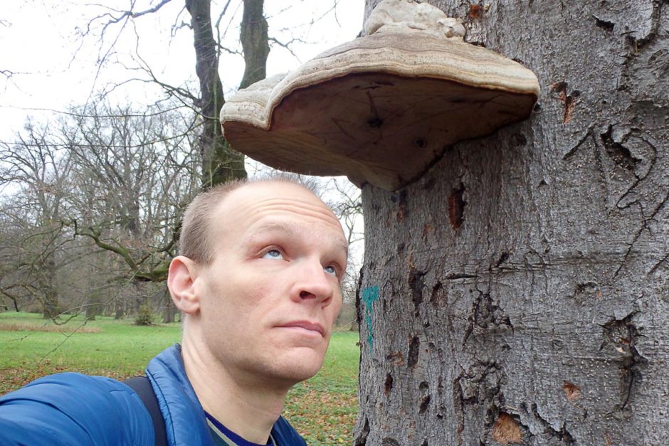 Bowing to my overlord, the tree fungus.