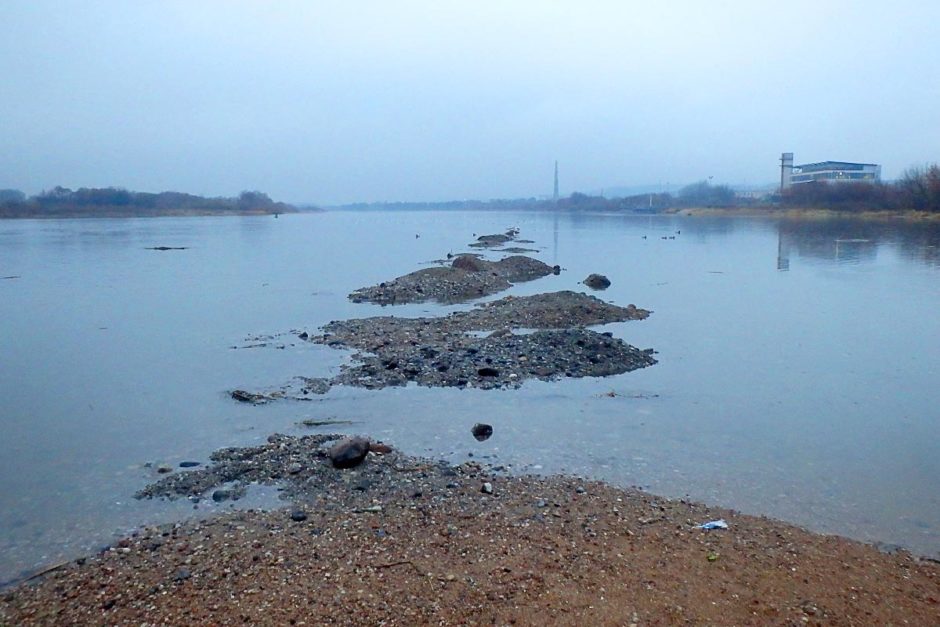 The Neris River (on the right) and the Nemunas River (left) meeting.