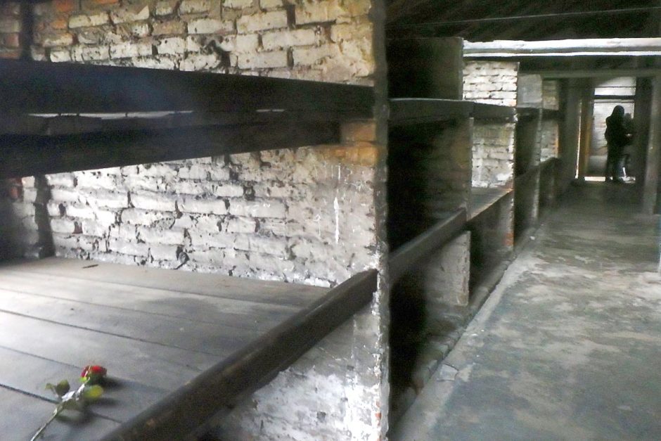 Prisoners' bunks at Birkenau.