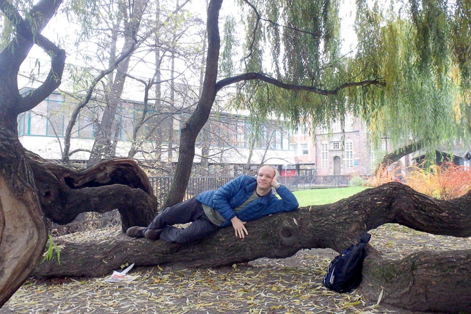 Nice trees in Gdańsk.