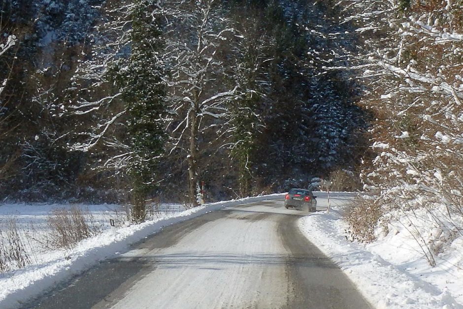 The road going to Trakošćan.