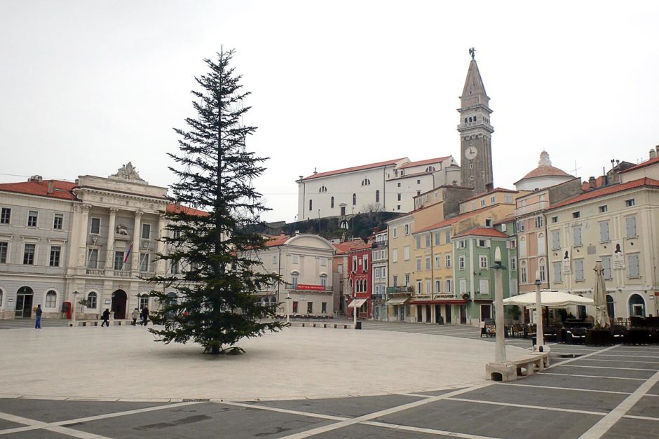 The oval town square of Piran, with the Christmas tree.