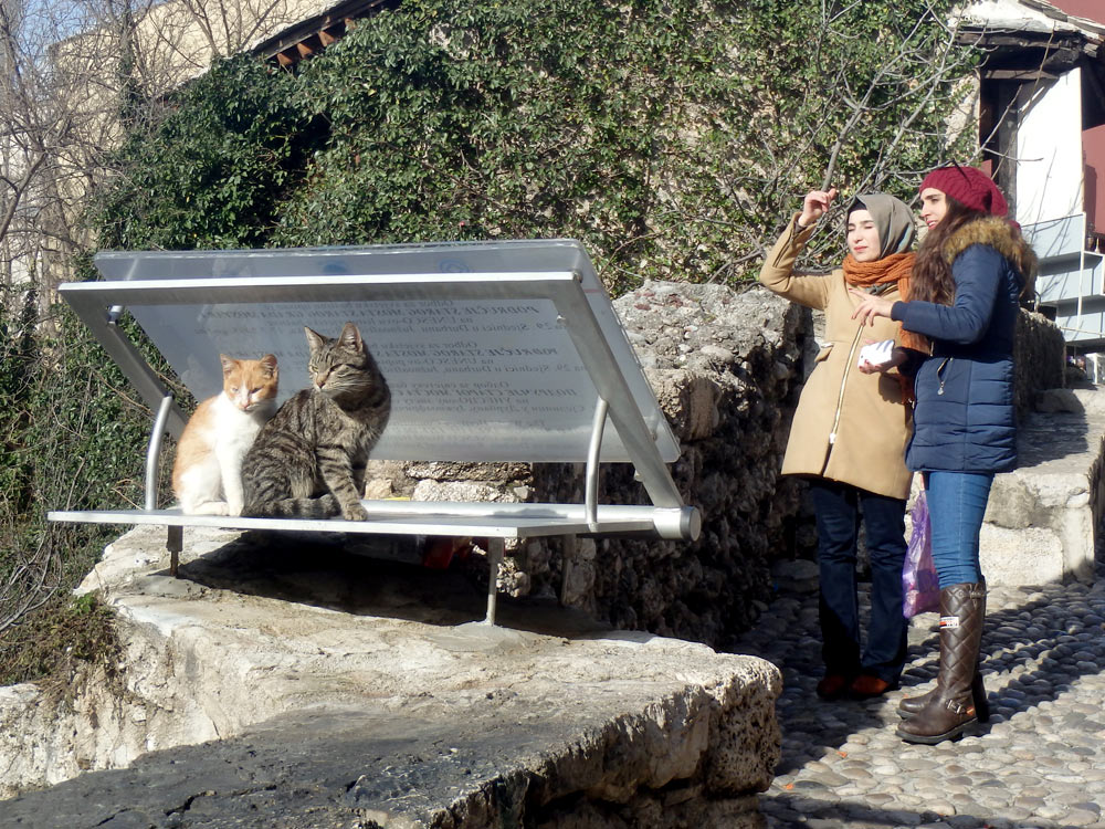 Cats and girls roam in pairs in Mostar.