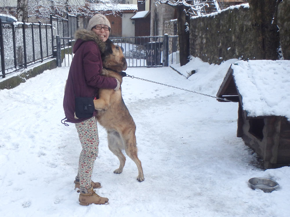 The apartment owner's dog pleaded with Masayo not to leave.