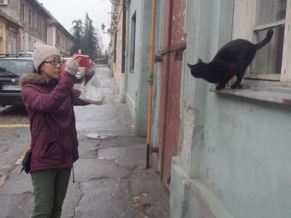 Masayo taking a photo of a cat, who emerged from the window to check her out too.