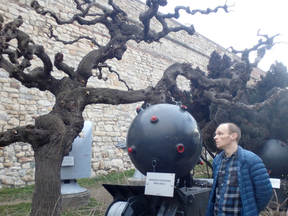 Me and a bomb and a weird tree