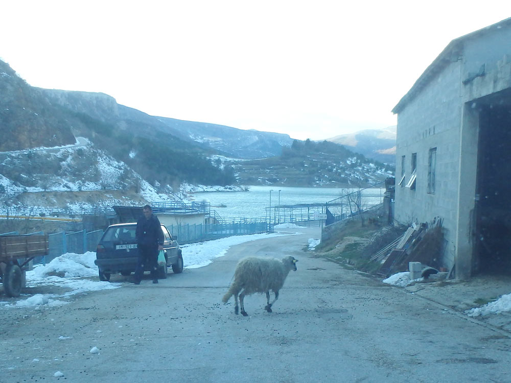 A busy intersection in rural Croatia.