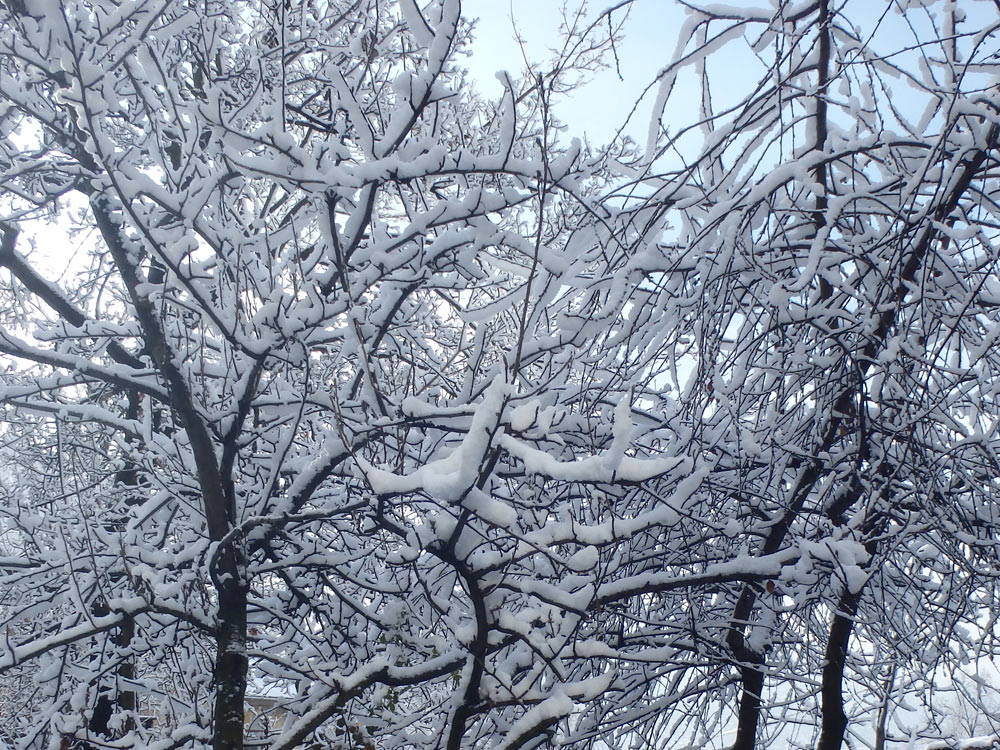 The first thing we saw when we opened our front door: The icy rain had turned into snow and left this everywhere.