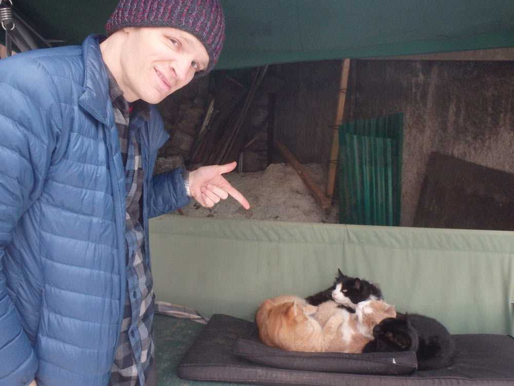 Standoff with Sarajevo cats. They don't look any more impressed with me than I am with them.