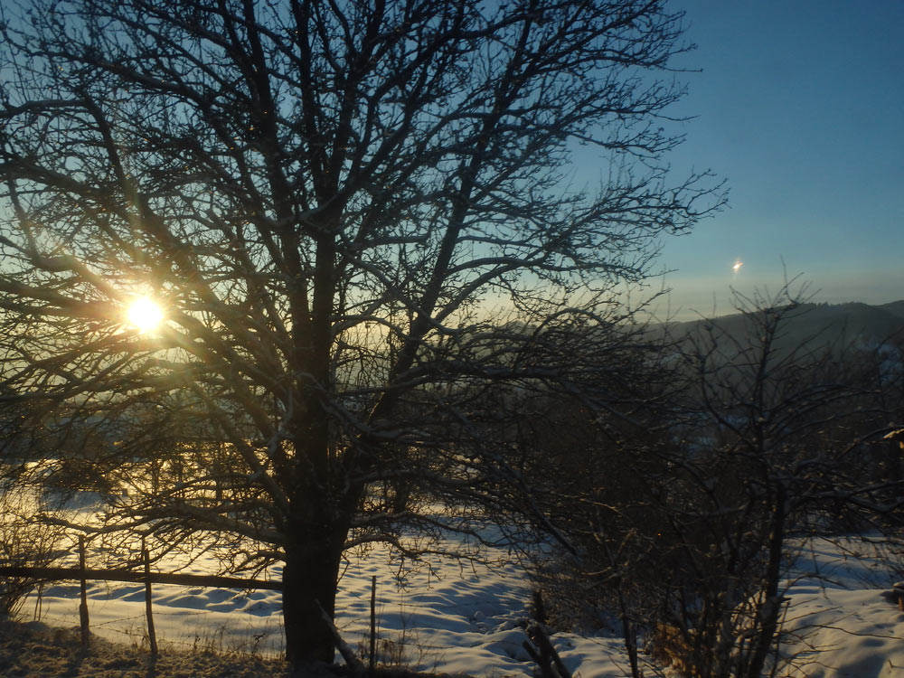 Sunset through the Srpska trees — more wondrousness on the bus ride.