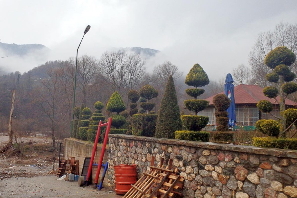 trees-misty-mountains-eastern-albania