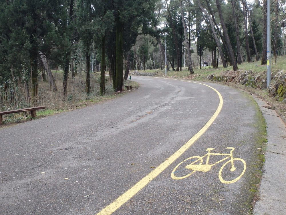 Bike lane and walking path in a Podgorica park