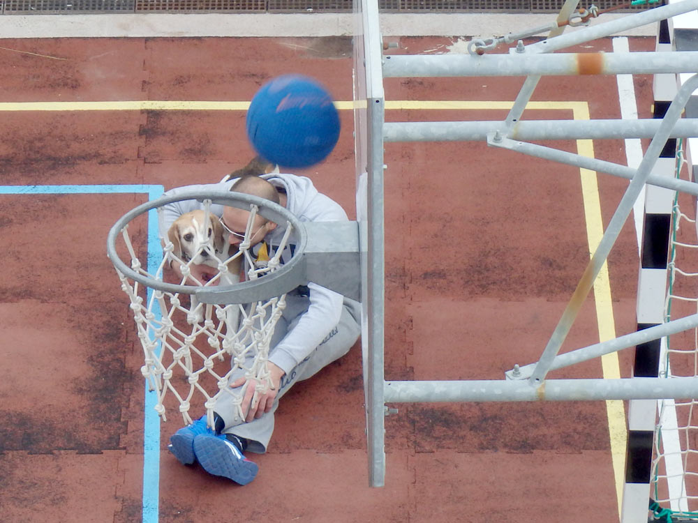 Guy with dog as someone shoots a basket with a blue basketball