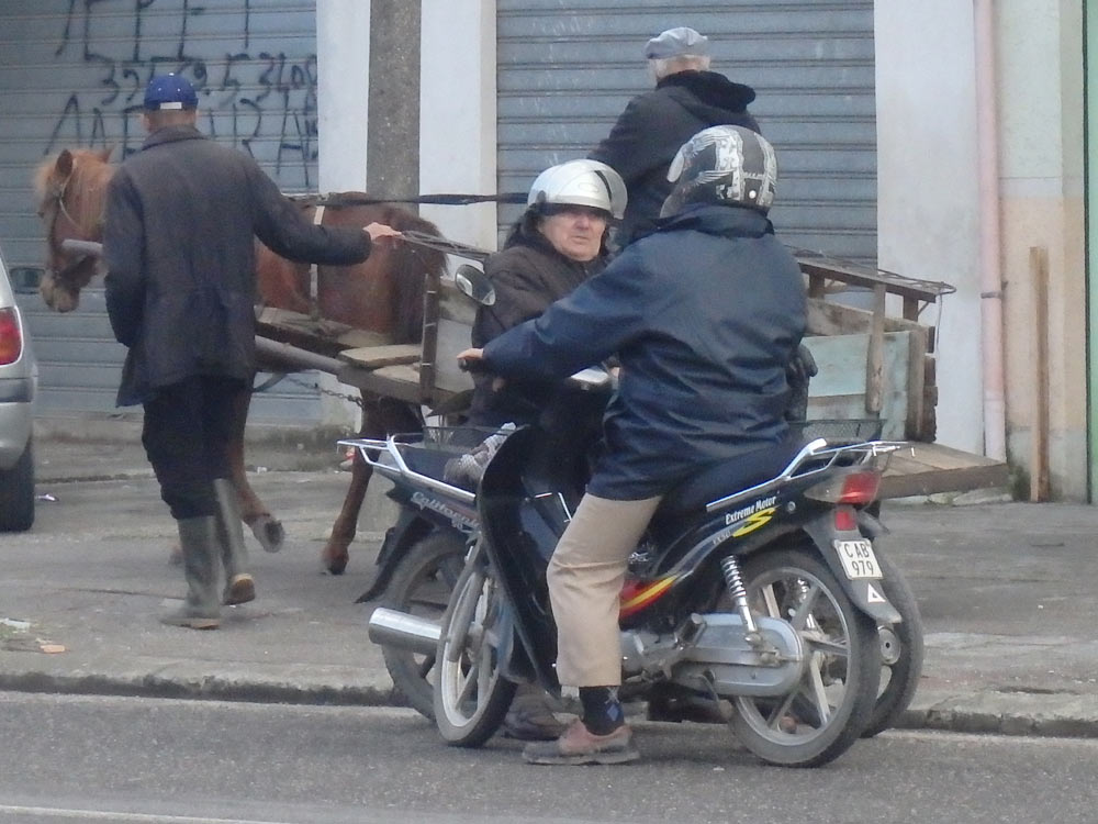 Motorbikes and a horse on a street in Shkodër