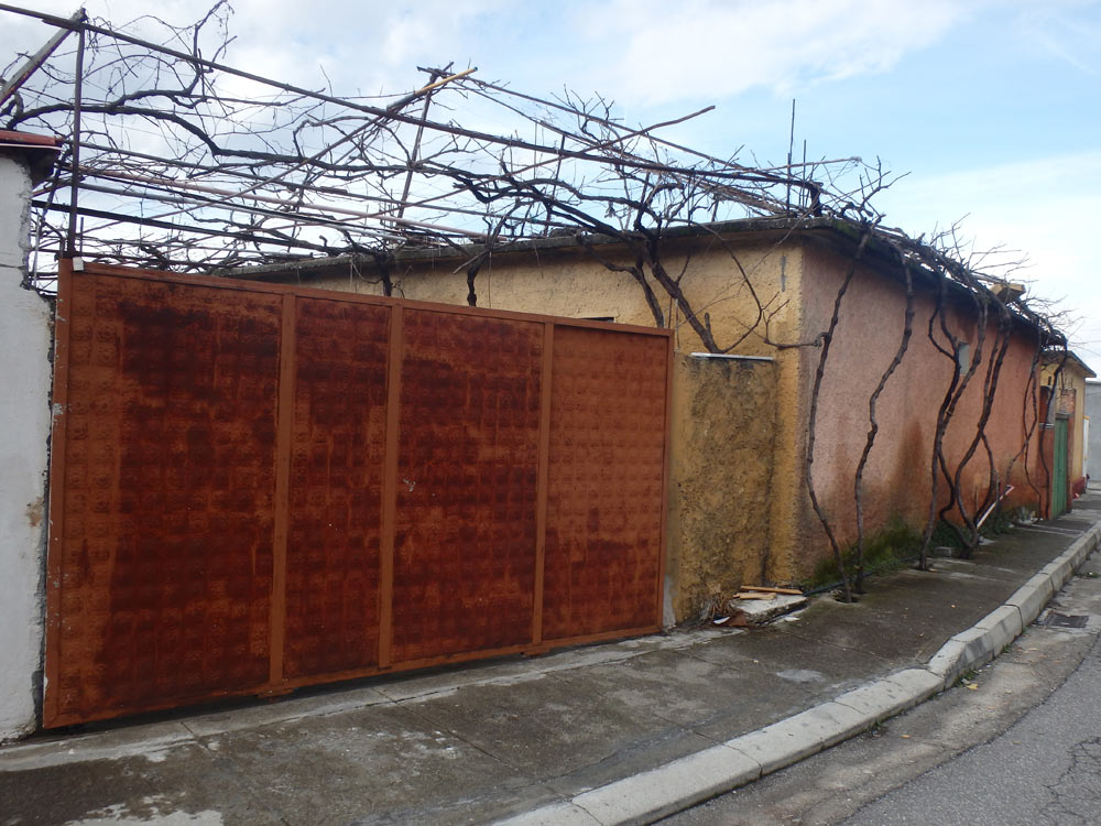 House with vines on it