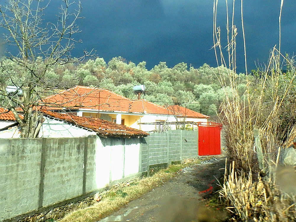 Striking trees and sky with contrasted colors in rural Albania