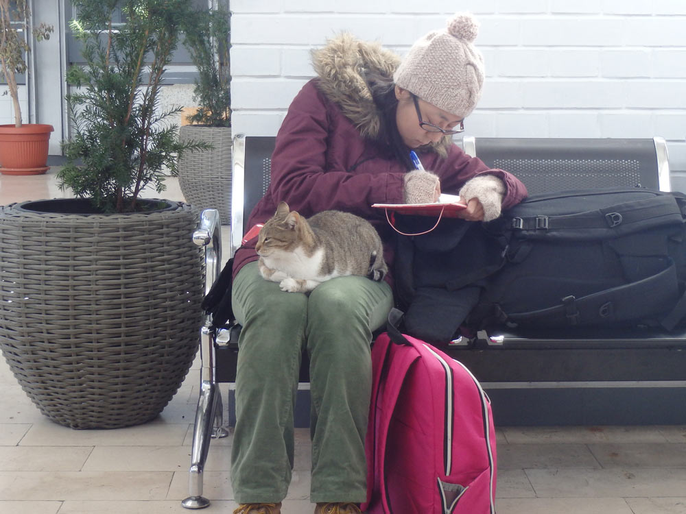 Masayo writing in her diary with a cat on her lap at Ulcinj bus station