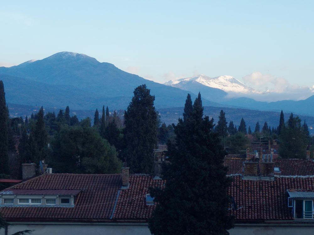 Mountains and trees view from our room in Podgorica