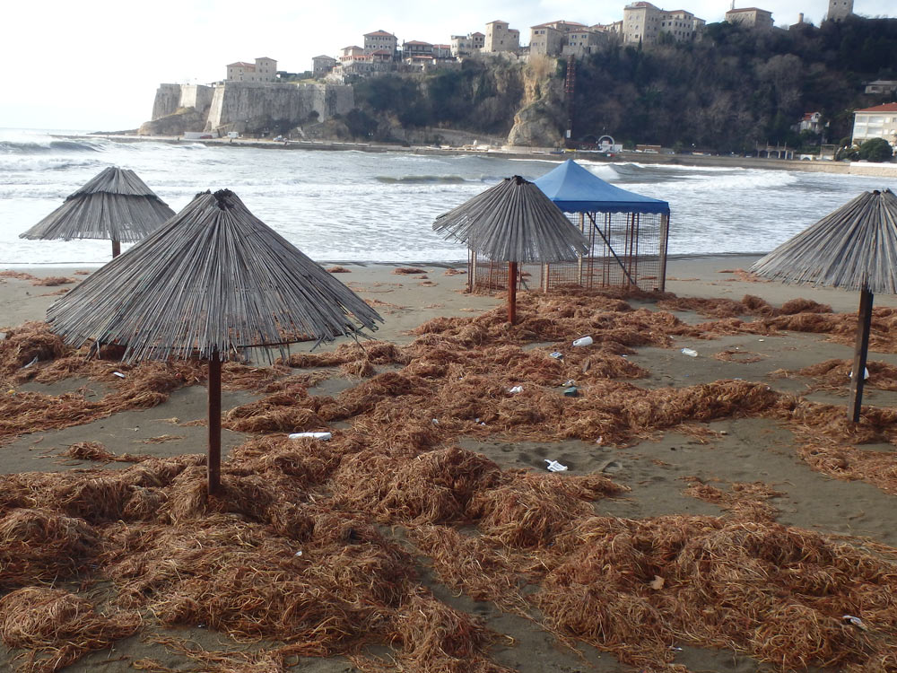 Seaweed and umbrellas on Ulcinj beach