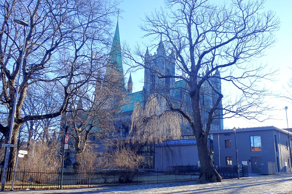 sunny-trees-and-trondheim-cathedral