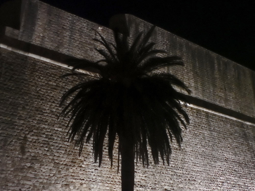 Palm tree silhouetted against the Dubrovnik Old Town wall