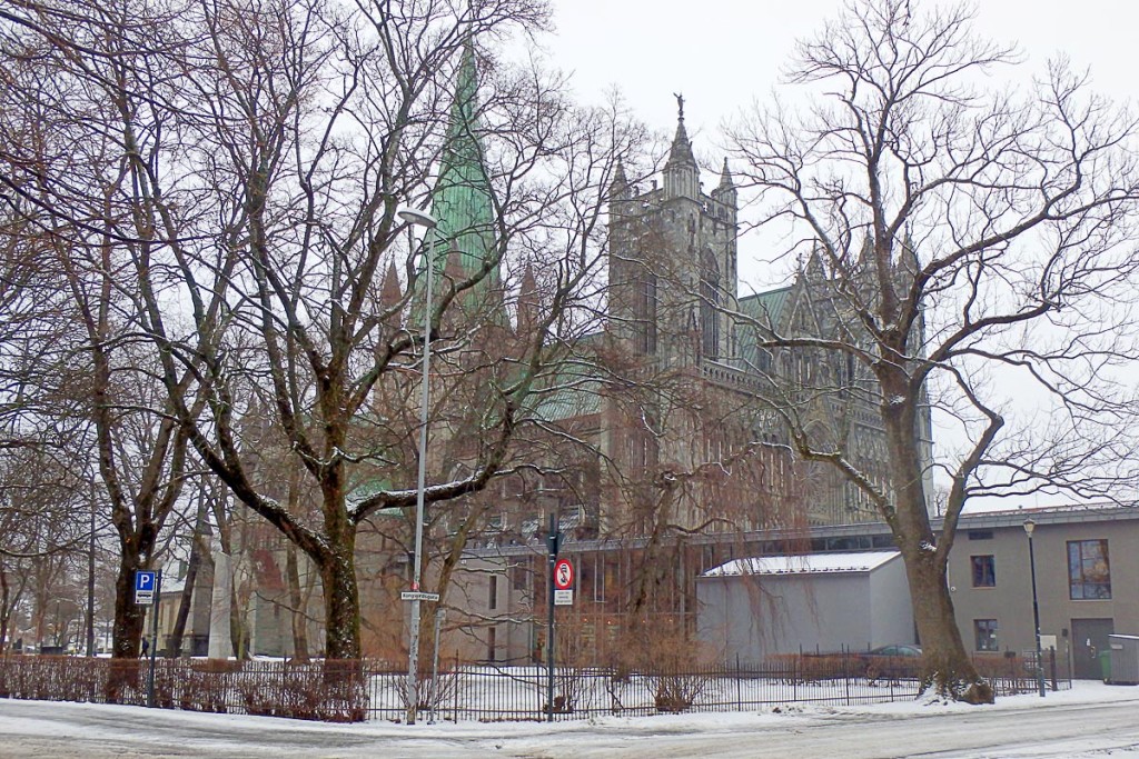 trees-and-trondheim-cathedral-in-snow-cloudy