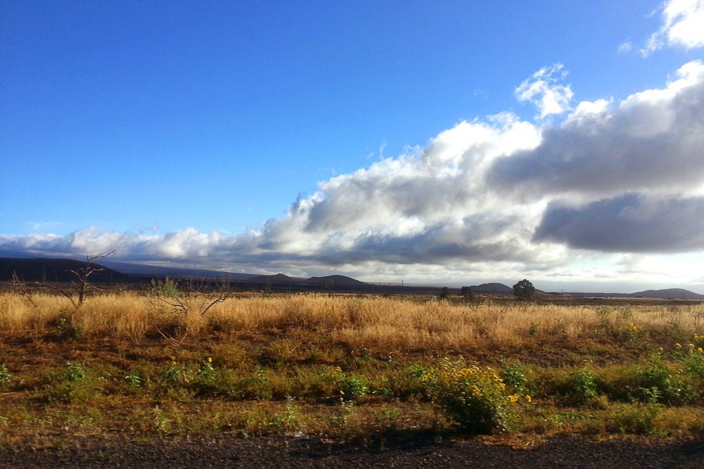 clouds-scrub-brush-hawaii