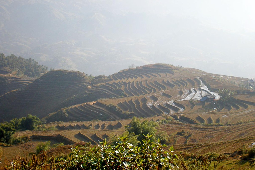 rice-terraces-december-sa-pa-vietnam