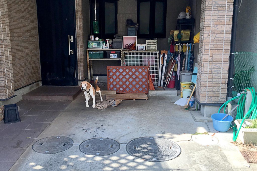 This carport dog seemed happy to see us, barking cheerful hellos as we walked by.