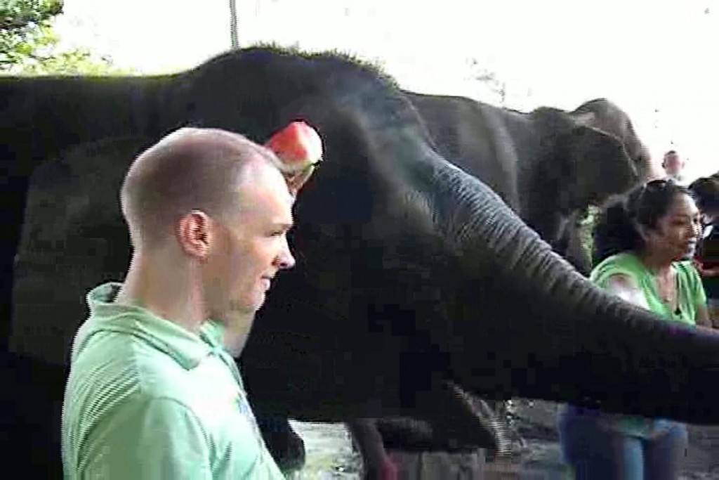 jeremy-watermelon-kuala-gandah-elephant-sanctuary