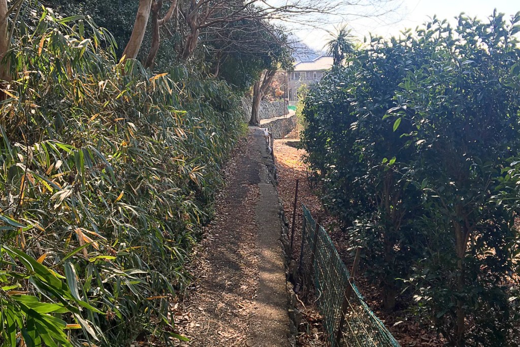 narrow-path-to-shrine-shigisanguchi-japan