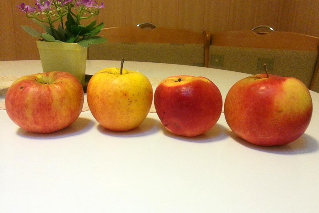 four-apples-penzion-oaza-levoca-slovakia