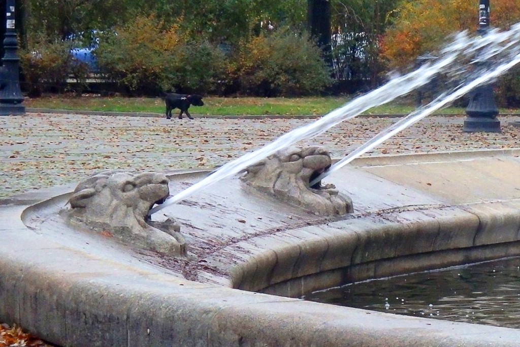 lions-spitting-fountain-warsaw-poland