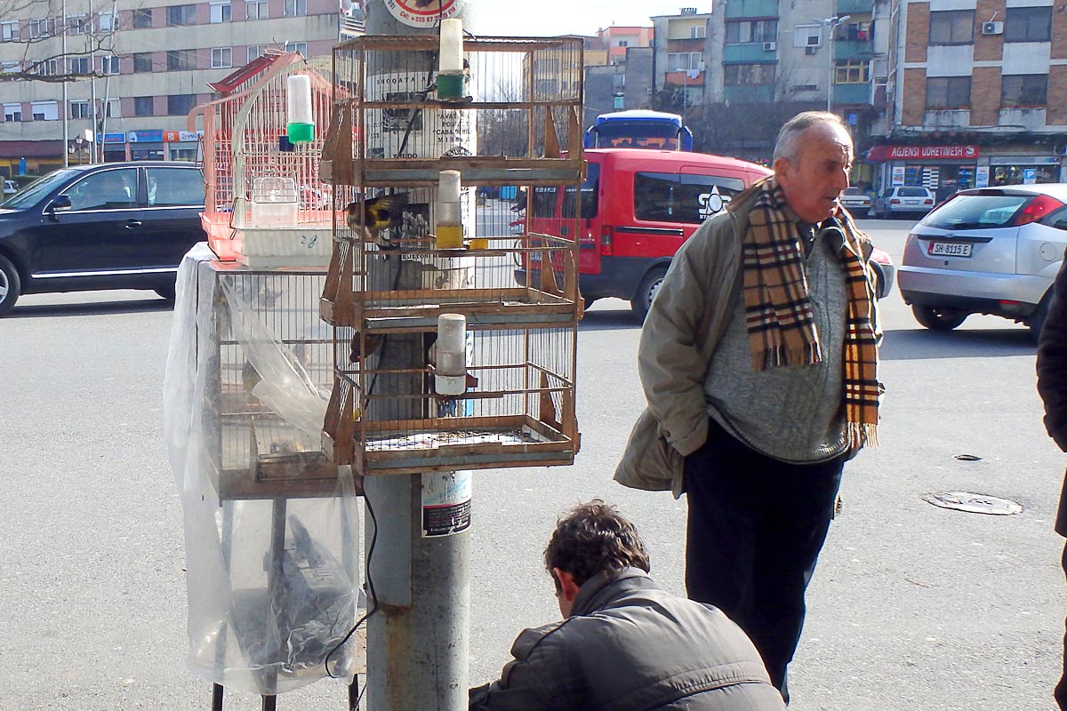 bird-cages-sidewalk-shkoder-albania-street