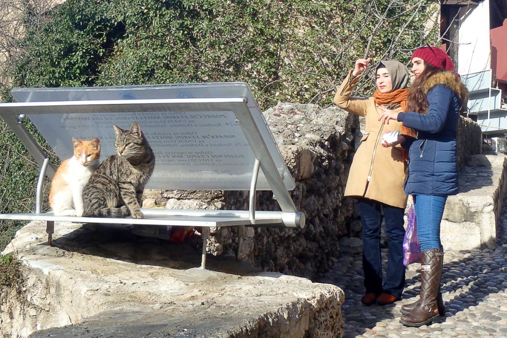 cats-girls-couples-mostar-bosnia