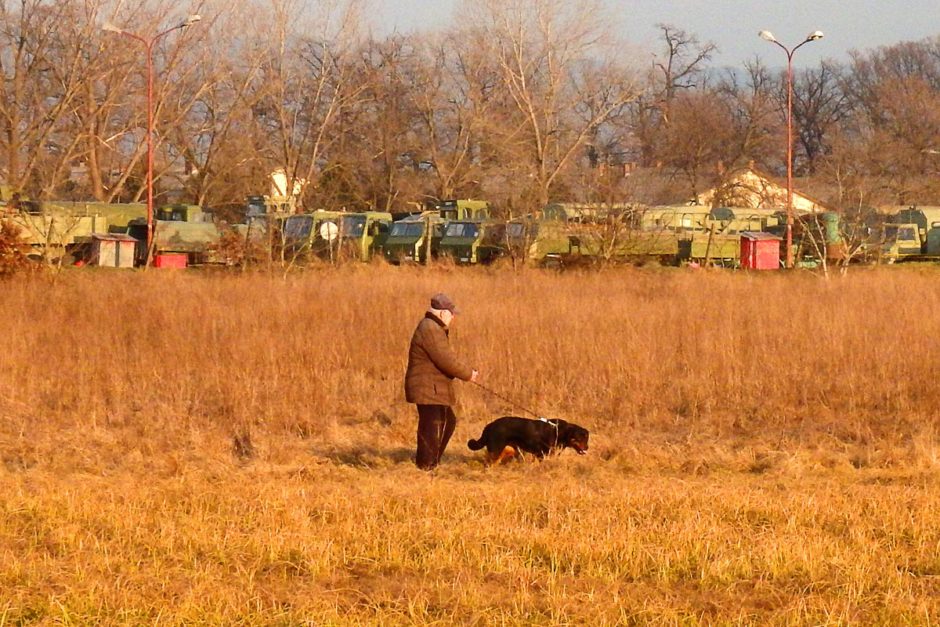 man-walking-dog-military-vehicles-kraljevo-serbia