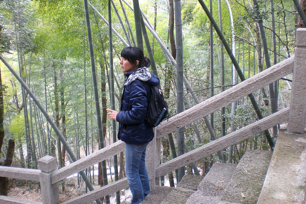 masayo-bamboo-huangshan-china-hike