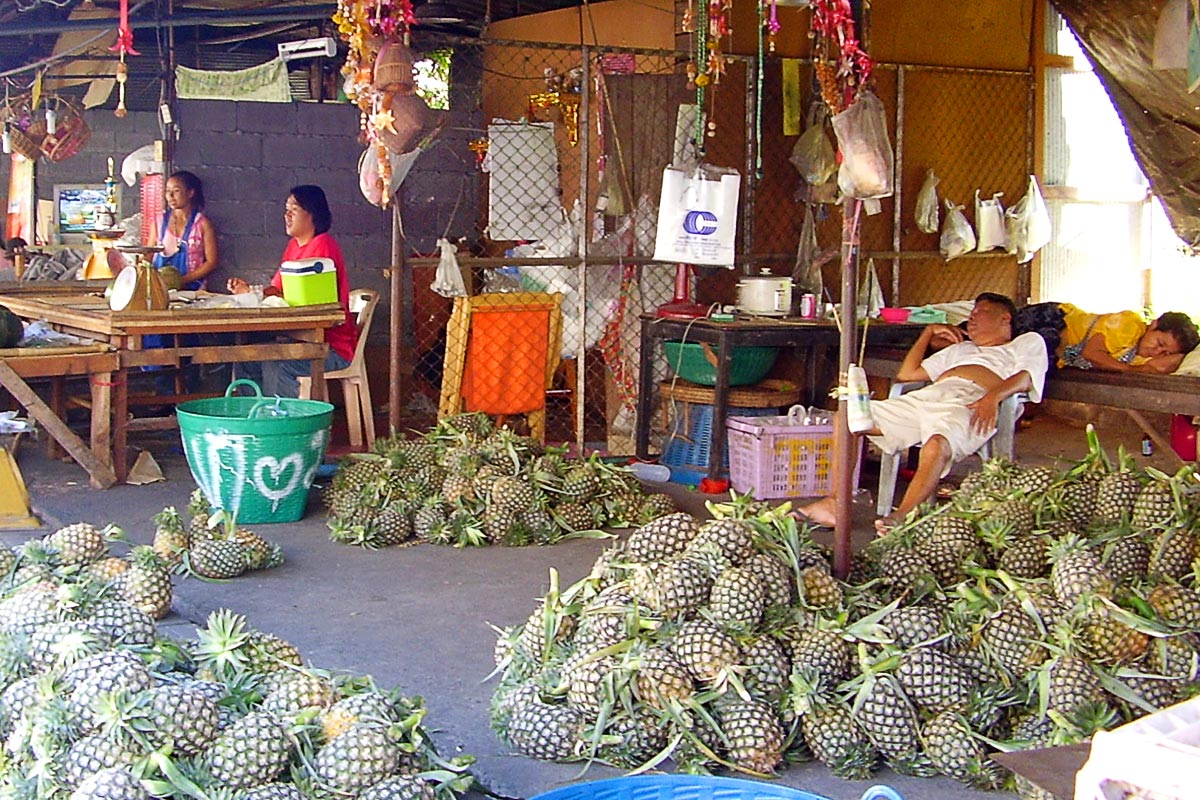 pineapple-piles-sleeping-vendors-trang-thailand