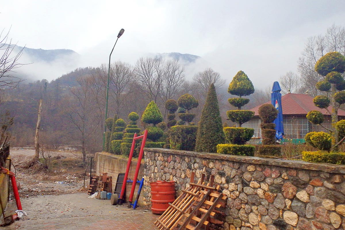 sculpted-trees-misty-mountains-eastern-albania