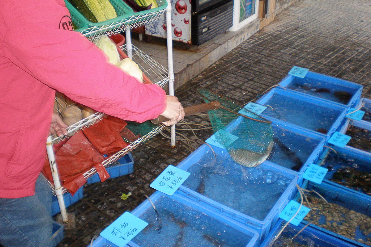 seafood-restaurant-fish-bucket-net-gulangyu-china